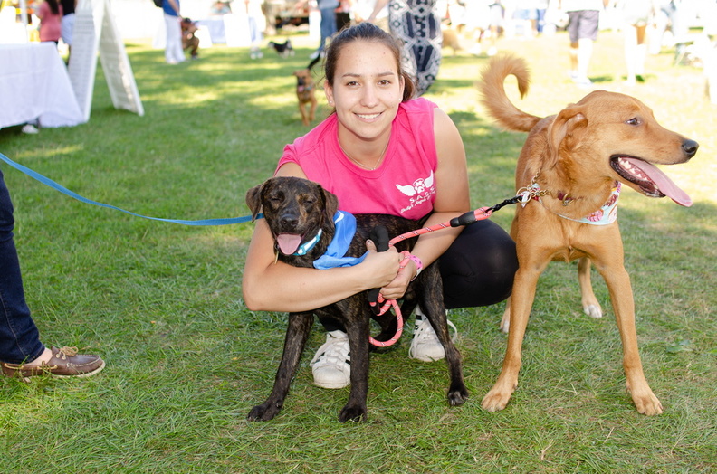 POD2018 02 Dogs, Appleton &amp; Maddie from S.A.S.S.-DSC 0550