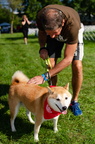 POD2018 02 Dogs-DSC 0038