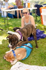 POD2018 02 Dogs-DSC 0426