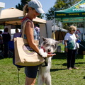 POD2018 03 Dogs-Owners, Blue & Christine-DSC 0284