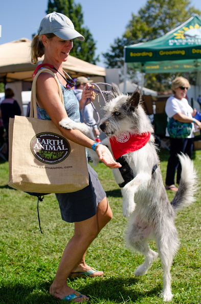 POD2018 03 Dogs-Owners, Blue &amp; Christine-DSC 0285