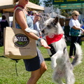 POD2018 03 Dogs-Owners, Blue & Christine-DSC 0285