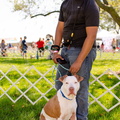 POD2018 03 Dogs-Owners, Odin & Sumit-DSC 0418