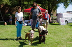 POD2018 03 Dogs-Owners, Serenity Jax Cooper &amp; Family-DSC 0515