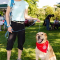 POD2018 03 Dogs-Owners, Tanner &amp; Bette-DSC 0104