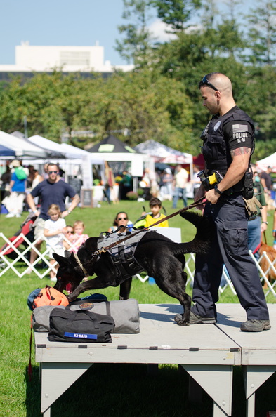 POD2018 04 PoliceDemo-DSC 0378