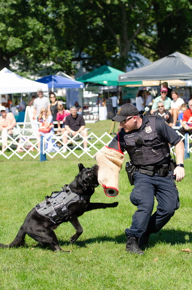 POD2018_04_PoliceDemo-DSC_0382.jpg