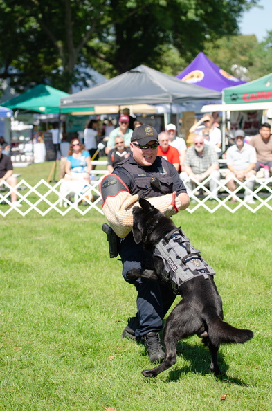 POD2018_04_PoliceDemo-DSC_0393.jpg