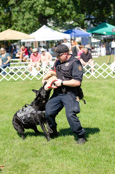 POD2018 04 PoliceDemo-DSC 0395