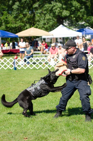 POD2018_04_PoliceDemo-DSC_0398.jpg