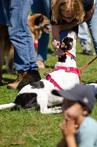 POD2018_05_Candid-DSC_0373.jpg