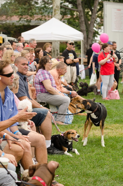 POTD2017 Crowd-DSC 0356-LR Export