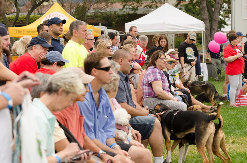 POTD2017 Crowd-DSC 0360-LR Export