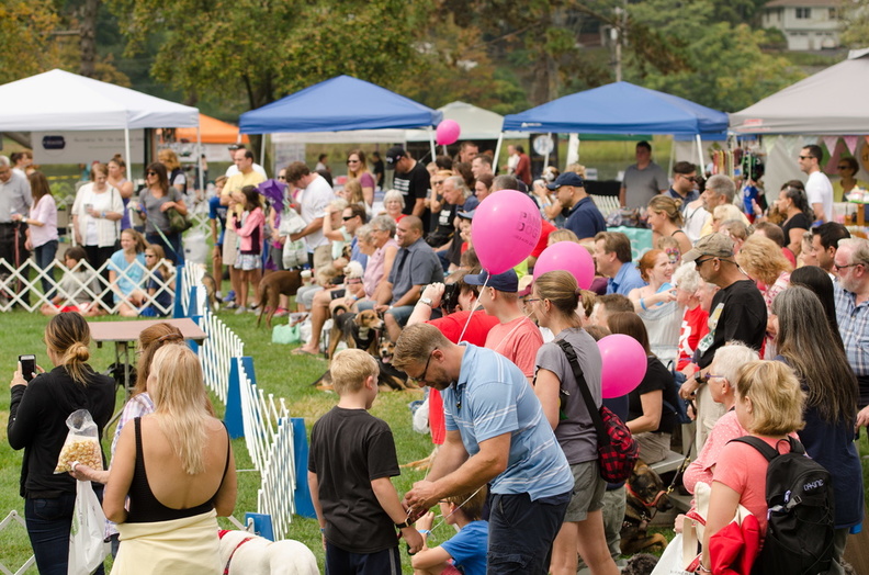 POTD2017 Crowd-DSC 0369-LR Export