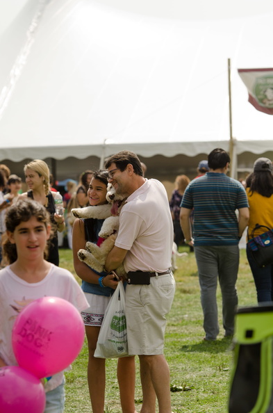 POTD2017 Crowd-DSC 0422-LR Export