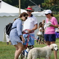 POTD2017 Crowd-DSC 0425-LR Export