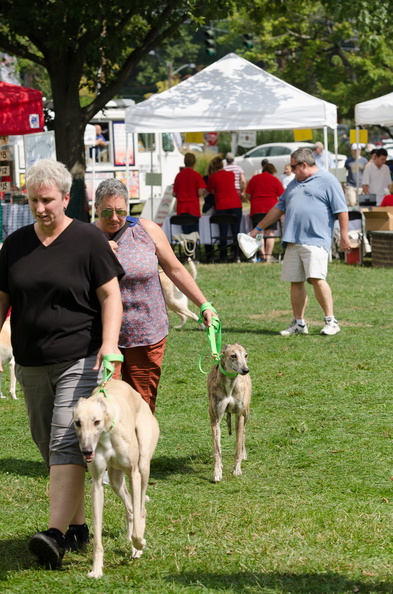 POTD2017 Crowd-DSC 0431-LR Export