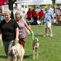 POTD2017 Crowd-DSC 0431-LR Export