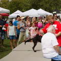 POTD2017 Crowd-DSC 0445-LR Export