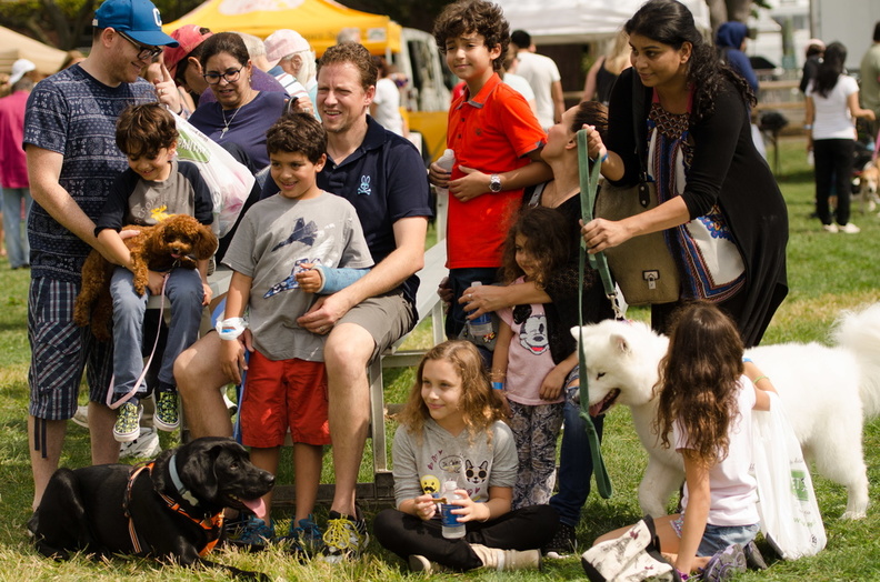 POTD2017 Crowd-DSC 0447-LR Export