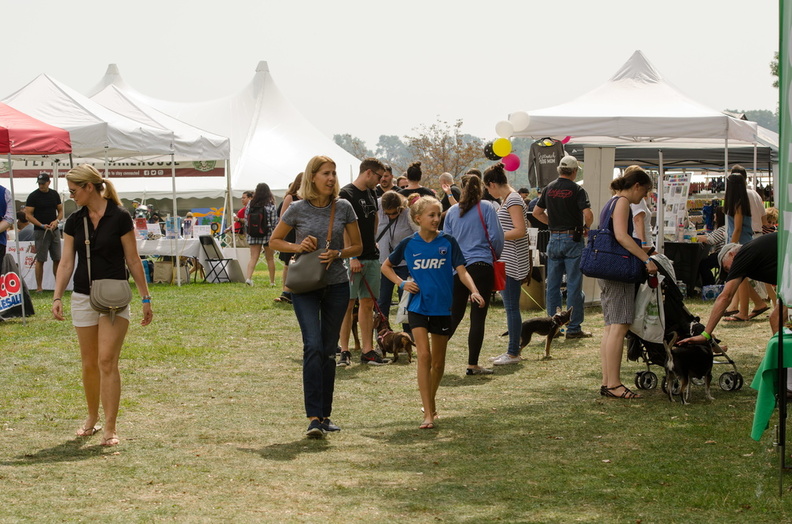 POTD2017 Crowd-DSC 0449-LR Export