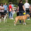 POTD2017 Crowd-DSC 0479-LR Export