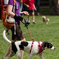 POTD2017 Crowd-PhotogPick-DSC 0456-LR Export