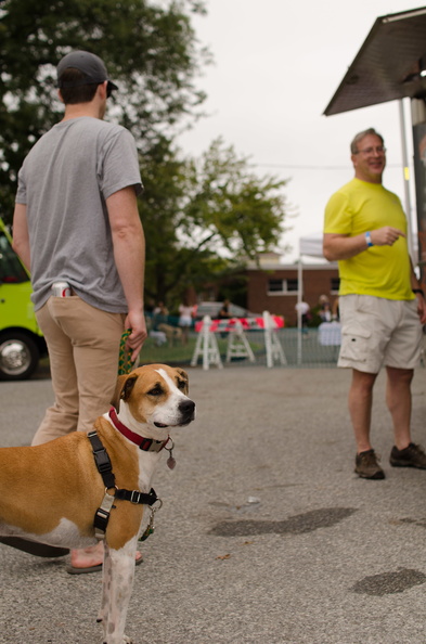 POTD2017 Dogs-DSC 0316-LR Export