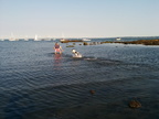 IMG 20140712 182441 LREXPORT