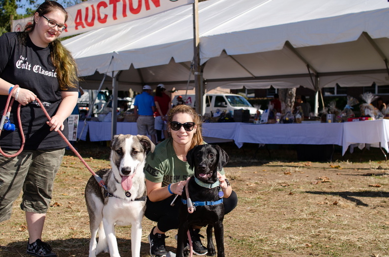 2019POTD BMalin 03 Dogs-Owners DSC 0101