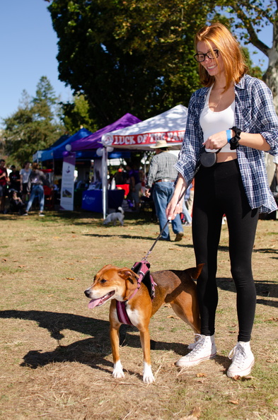 2019POTD BMalin 03 Dogs-Owners DSC 0142