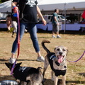 2019POTD BMalin 03 Dogs-Owners DSC 0182