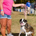 2019POTD BMalin 03 Dogs-Owners DSC 0200