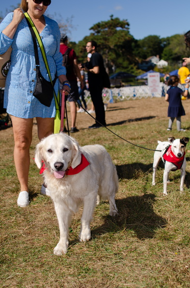 2019POTD BMalin 03 Dogs-Owners DSC 0313