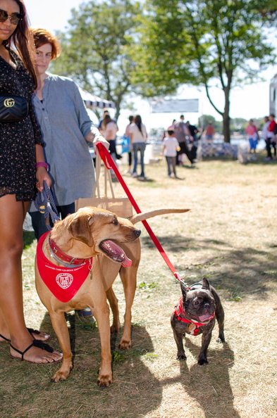 2019POTD BMalin 03 Dogs-Owners DSC 0322