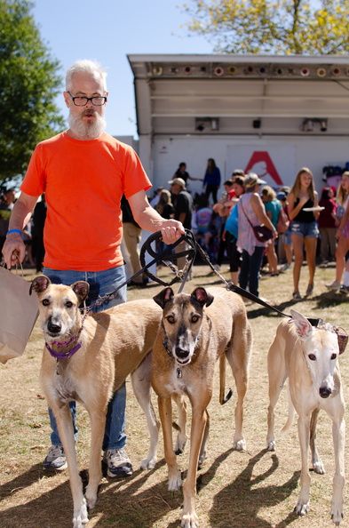 2019POTD BMalin 03 Dogs-Owners DSC 0543