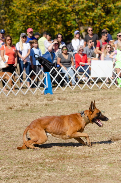 2019POTD BMalin 04 PoliceDemo DSC 0412