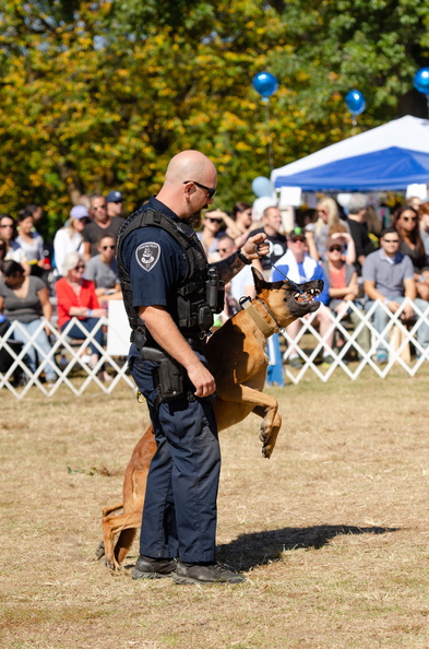 2019POTD BMalin 04 PoliceDemo DSC 0416