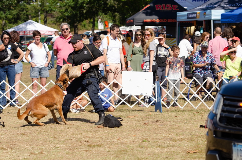 2019POTD BMalin 04_PoliceDemo DSC_0440.JPG