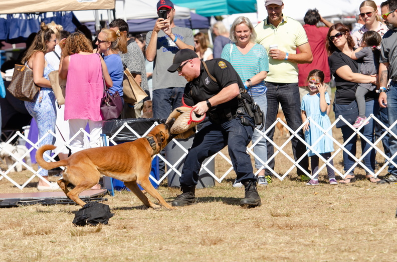 2019POTD BMalin 04 PoliceDemo DSC 0443