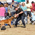 2019POTD BMalin 04 PoliceDemo DSC 0443