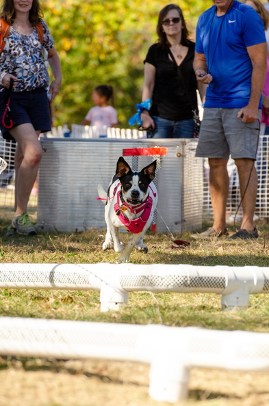 2019POTD BMalin 07 Fun-Run DSC 0694