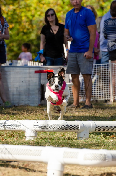 2019POTD BMalin 07 Fun-Run DSC 0695