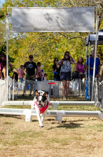 2019POTD BMalin 07 Fun-Run DSC 0708