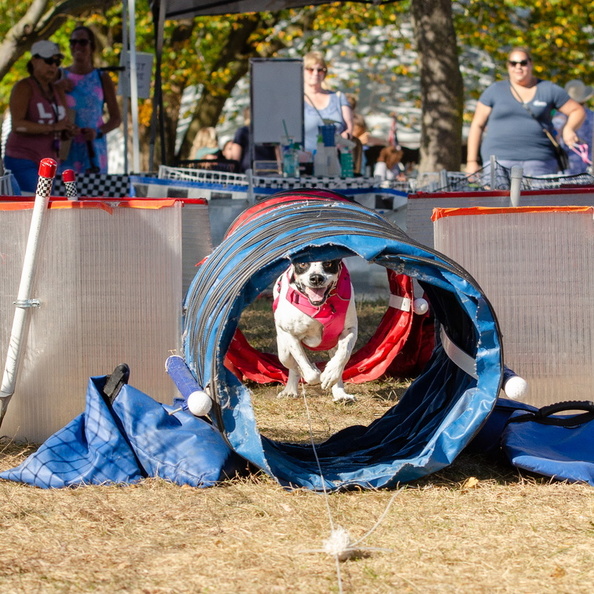 2019POTD BMalin 07 Fun-Run DSC 0713