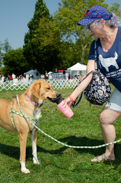 2022POTD_BMALIN_03_Dogs-Owners_DSC_0259_Export.jpg