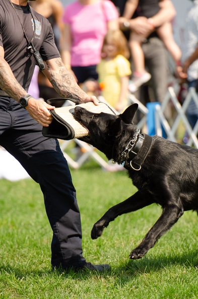 2022POTD_BMALIN_04_PoliceDemo_DSC_0172_Export.jpg