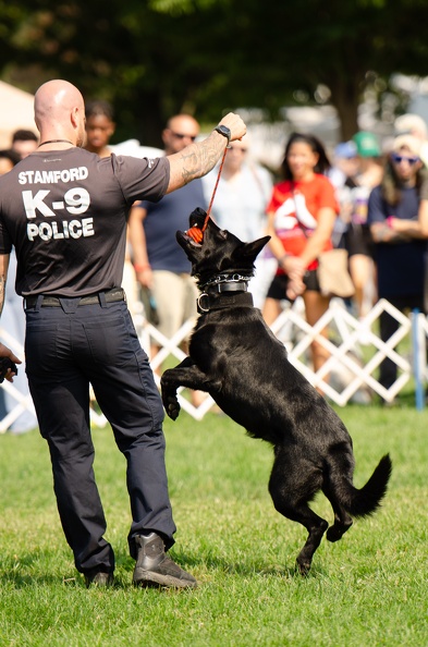 2022POTD_BMALIN_04_PoliceDemo_DSC_0161_Export.jpg