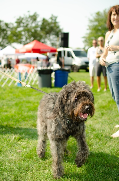 2022POTD BMALIN 02 Dogs DSC 0105 Export